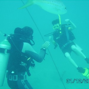 Certification dives, Dominican Republic