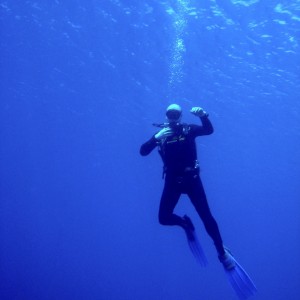 Curacao diving