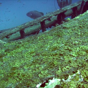 Over the rail of the wreck