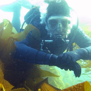 John_B in the kelp off Catalina Island