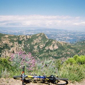 View_from_Biking