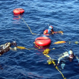 Performance Freediving Intermediate
