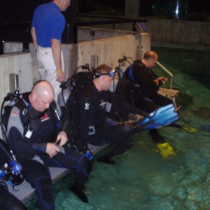 Baltimore_Aquarium_Dive_016