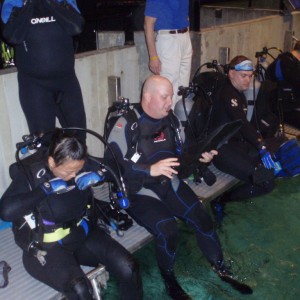 Baltimore_Aquarium_Dive_017
