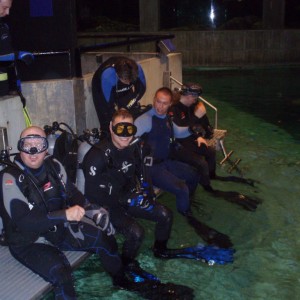 Baltimore_Aquarium_Dive_018