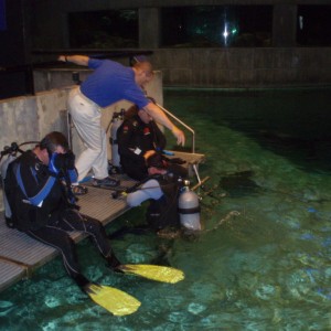 Baltimore_Aquarium_Dive_021