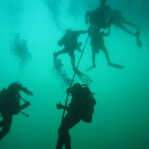 Oakville Scuba Divers