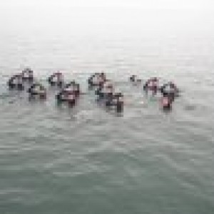 Oakville Divers all Ok rescue survival at sea course