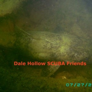 Dale Hollow SCUBA Friends Photos