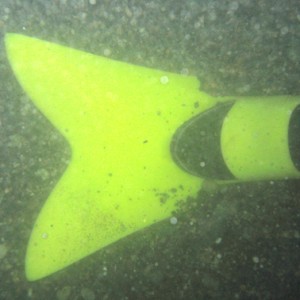Force Fins at the end of the dive at Rosario Beach