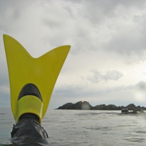 Force Fins after some surface swimming