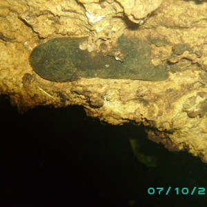Bone in Stasia's cave