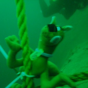Scooby Doo In Lake Wazee  108 ft
