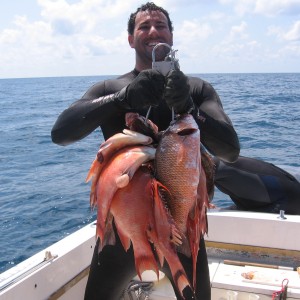 Gulf diving