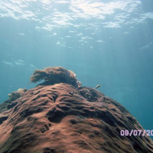 Morelos barrier reef 3
