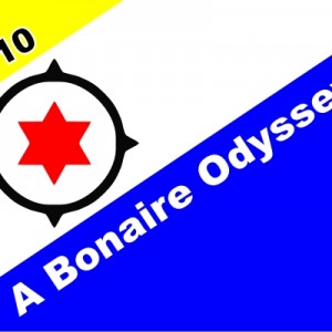 Bonaire FlagII