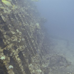 Wreck of the Canoptic