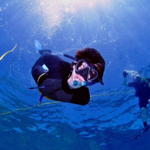 free diver