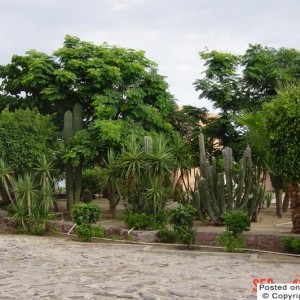 Cantamar Garden