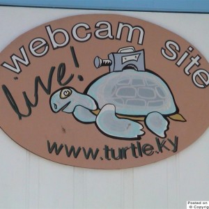 Turtle Farm Sign