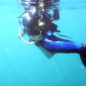 Diver in Bootless Bay PNG