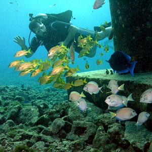 Scuba Club Cozumel house reef