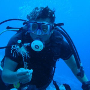 DM spears the lionfish!