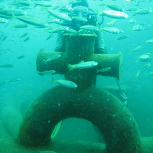 Red Sea Tug