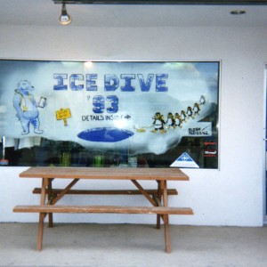 Dive Shop Window'93