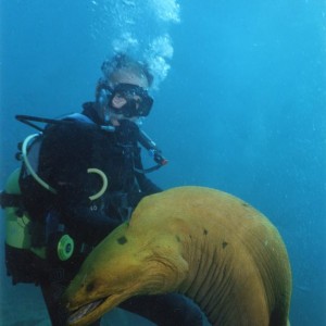 Diving Cuba / Friendly Mooray