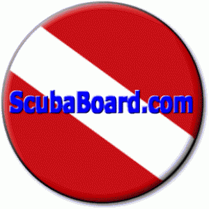 ScubaBoard1