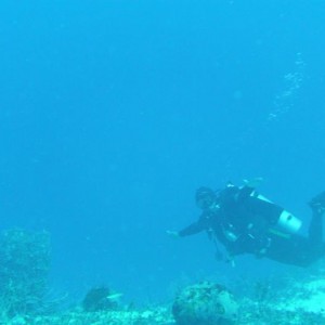 Diving cozumel with Palagic Ventures