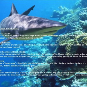 Tips to avoid a shark attach.,.. From Downunder.