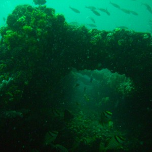 Wreck Dive off Pompano Beach, Florida