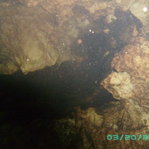 River Cave Images March 2010