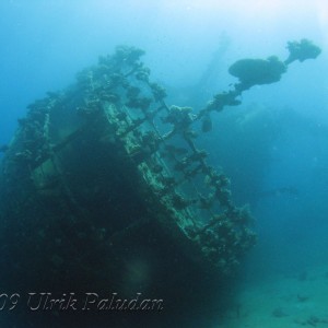 Abu Gusoom Wreck, Marsa Alam