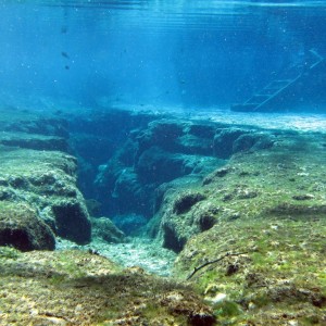 ginnie springs in March