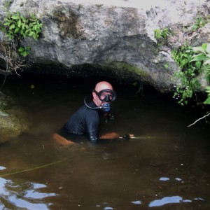 Monkey Diving Cenotes