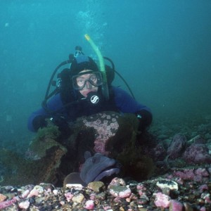 Diver with Ocean Pout