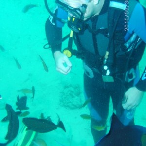 Diving in Lapu Lapu