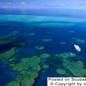 Aerial of great barrier reef