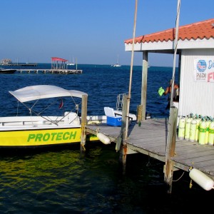 Protech Belize