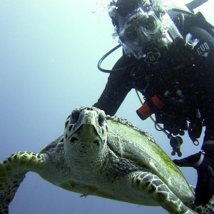 Doug_with_green_sea_turtle_2-20-05