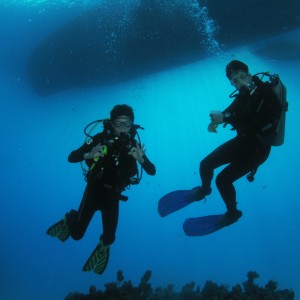 The boys on the morning dive