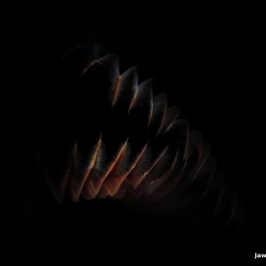 Jaws_of_Death_Crop