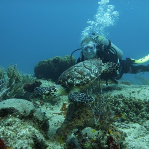 Turtle @ Punta Tunich Taken by Mona {Monkey}-Scuba Mau