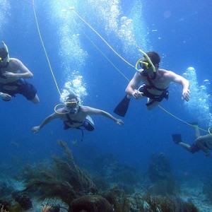 4 divers on SCUBA Breather power