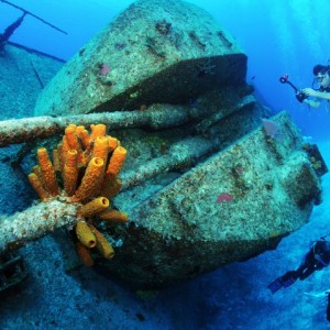Wreck of the Tibbits