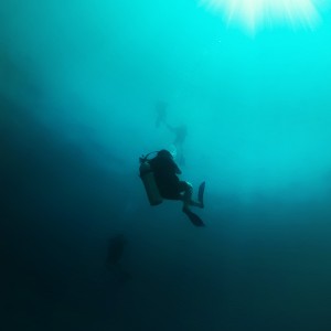 my 1st. experience diving with DiveHappy