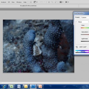 7. Basic Edit using Adobe Photoshop CS4